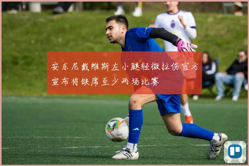安东尼戴维斯左小腿轻微拉伤官方宣布将缺席至少两场比赛