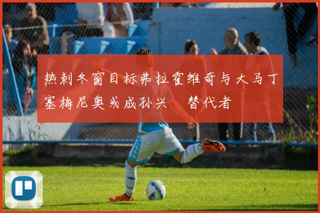 热刺冬窗目标弗拉霍维奇与大马丁塞梅尼奥或成孙兴慜替代者