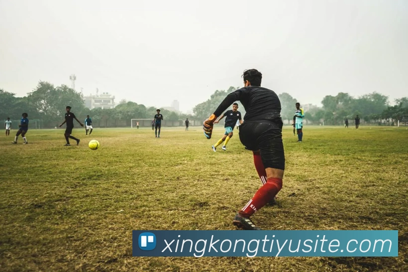 多媒体互动体验