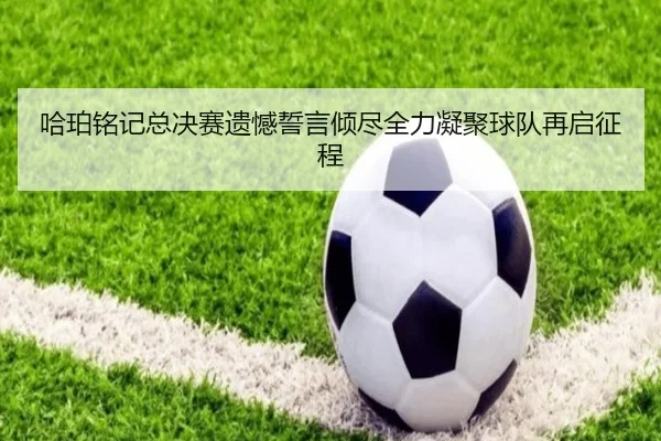 哈珀铭记总决赛遗憾誓言倾尽全力凝聚球队再启征程 - xingkong